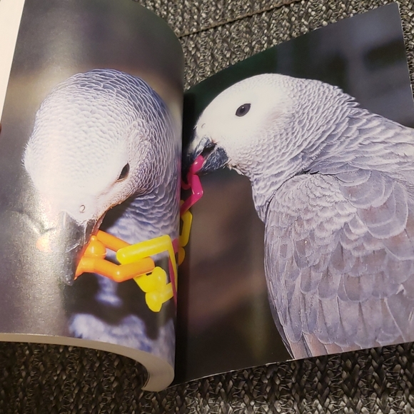 Book - The African Grey Parrot Handbook - Picture 4 of 6